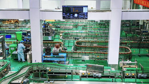 百年膠濟釋放發(fā)展新動能 淄博與大連產(chǎn)業(yè)的澎湃動力