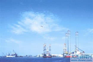 大連灣臨海裝備制造業(yè)聚集區(qū)順利通過遼寧省知名品牌創(chuàng)建示范區(qū)驗收