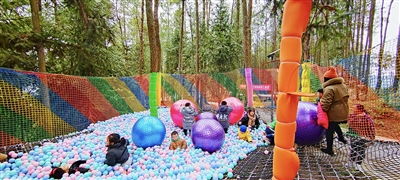 忠州日報 | 春節長假出行指南 鄉村游、露天樂園成市民熱門選擇